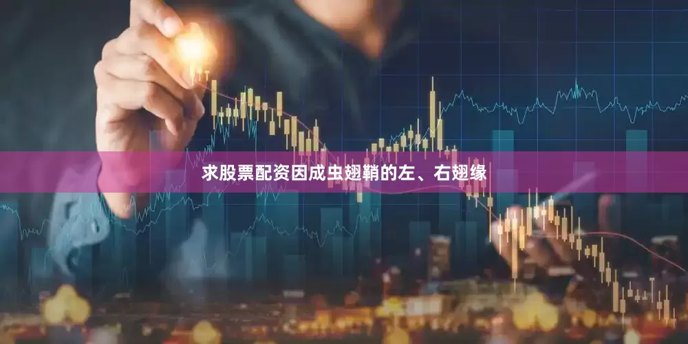 求股票配资因成虫翅鞘的左、右翅缘