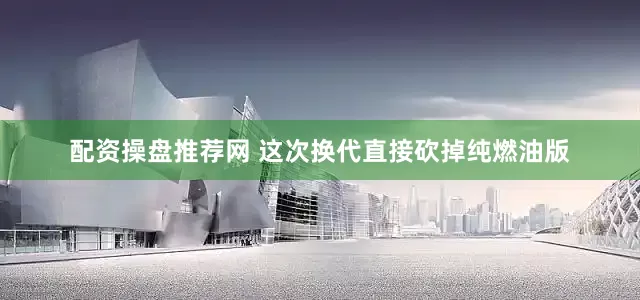 配资操盘推荐网 这次换代直接砍掉纯燃油版